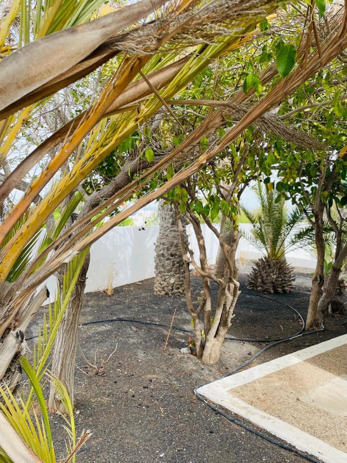 פוארטו דל כרמן Villa Rosa מראה חיצוני תמונה